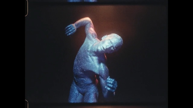 Video Reference: turtle, sea turtle