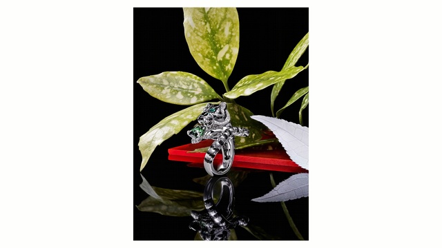 Video Reference: plant, leaf, flora, insect, pollinator