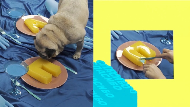 Video Reference: Yellow, Canidae, Dog, Puppy, Food, Sporting Group, Play