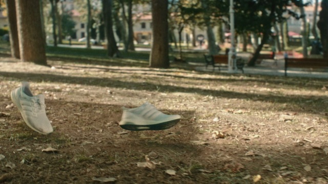 Video Reference: Leaf, Tree, Grass, Public space, Woodland, State park, Park, Footwear, Recreation, Soil