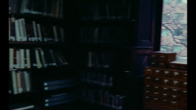 Video Reference: Book, Library, Shelving, Darkness, Publication, Bookcase, Architecture, Shelf, Furniture, Building, Indoor, Window, Sitting, Table, Computer, Room, Man, View, Woman, Large, White, Laptop, Desk, Keyboard, City, Living, Holding, Bed, Playing, Standing, Tall, People, Riding, Cat, Video, Bus, Text