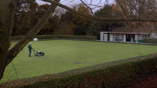 Video Reference: Lawn, Grass, Land lot, Tree, Sport venue, Landscaping, Yard, Plant, Grassland