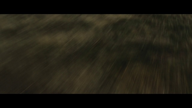 Video Reference: Black, Nature, Brown, Darkness, Wood, Atmosphere, Sky, Hardwood, Tree, Floor