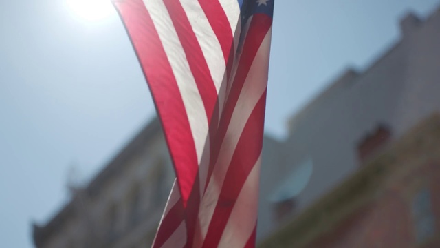 Video Reference: Flag, Red, Plant, Holiday