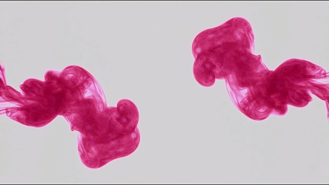 Video Reference: pink, magenta, petal, heart