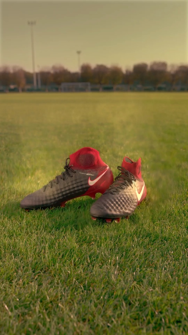 Video Reference: red, grass, plant, field, meadow, shoe, lawn, outdoor shoe, grassland, grass family