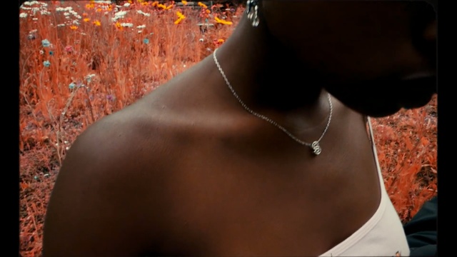 Video Reference: Skin, Neck, Shoulder, Beauty, Brown, Leaf, Necklace, Chest, Joint, Tree