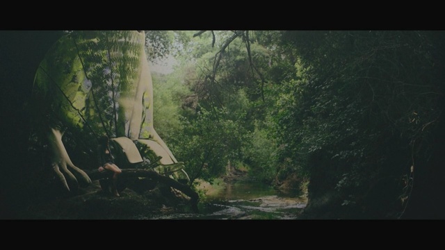 Video Reference: nature, green, forest, tree, screenshot, jungle, atmosphere, darkness, old growth forest, water