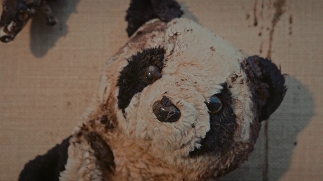 Video Reference: Snout, Tree, Panda, Stuffed toy, Teddy bear