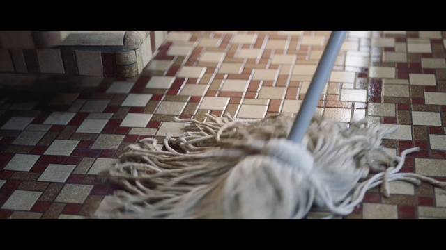 Video Reference: mammal, snapshot, whiskers, flooring, screenshot, snout, floor, stock photography