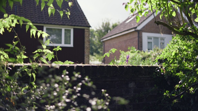Video Reference: Home, House, Property, Residential area, Wall, Yard, Shrub, Real estate, Tree, Window