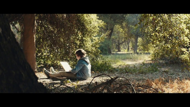 Video Reference: Nature, Natural environment, Woodland, Forest, Tree, Sitting, Sunlight, Adaptation, Photography, Branch
