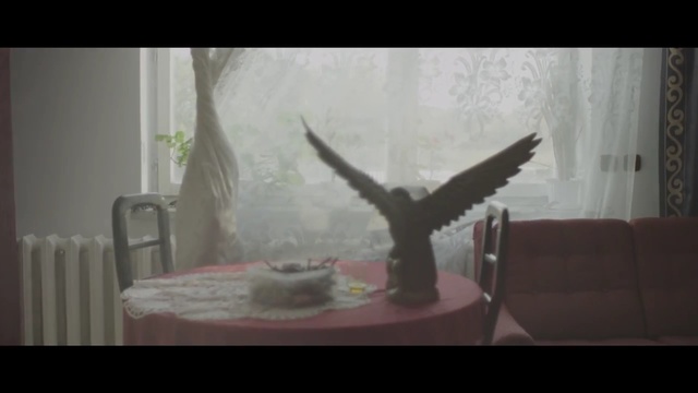 Video Reference: Bird, Art, Room, Plant, Still life