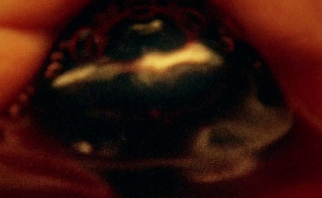 Video Reference: Black, Red, Nose, Close-up, Lip, Mouth, Eye, Organ, Turtle, Macro photography