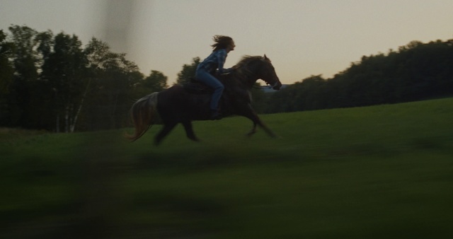 Video Reference: Horse, Bridle, Rein, Halter, Horse tack, Animal sports, Horse supplies, Saddle, Stallion, Recreation