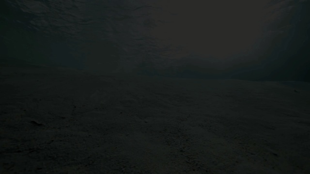 Video Reference: black, atmosphere, sky, darkness, light, geological phenomenon, night, mist, fog, screenshot