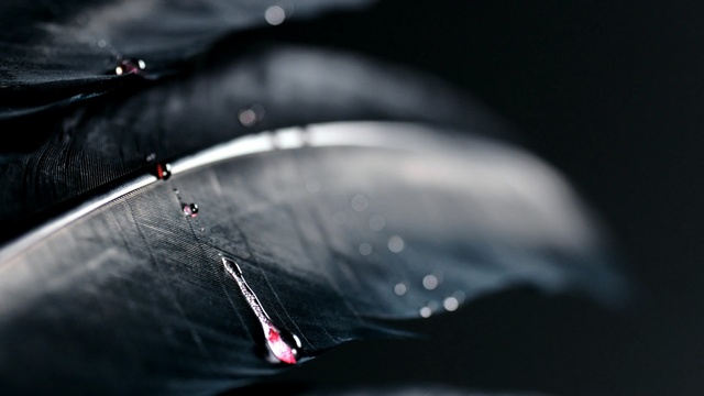 Video Reference: water, photography, darkness, close up, macro photography, sky