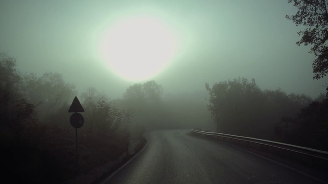 Video Reference: Atmosphere, Sky, Nature, Fog, Natural landscape, Road surface, Tree, Sunlight, Automotive lighting, Plant