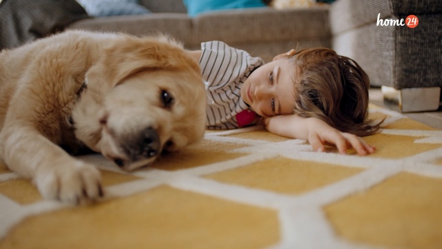 Video Reference: Mammal, Canidae, Dog, Dog breed, Puppy love, Companion dog, Retriever, Golden retriever, Puppy, Carnivore