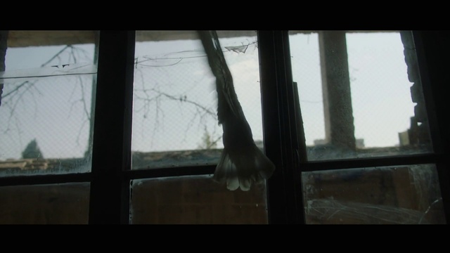 Video Reference: Black, Tree, Window, Glass, Atmospheric phenomenon, Snapshot, Daylighting, Branch, Morning, Water