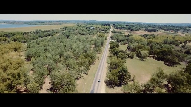 Video Reference: ecosystem, wilderness, nature reserve, road, tree, sky, biome, national park, aerial photography, forest