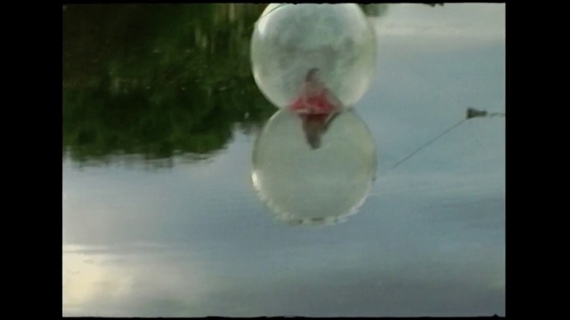 Video Reference: Sky, Nature, Sphere, Atmosphere, Cloud, Balloon, Organism, Cumulus, Photography, Moon