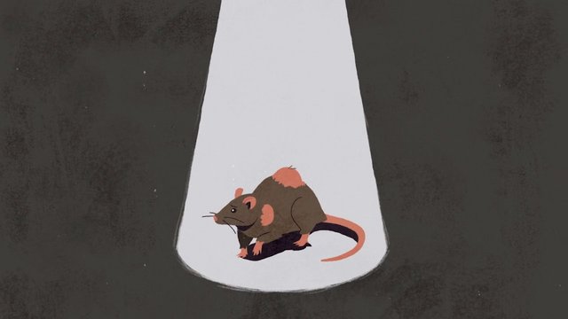 Video Reference: cartoon, rat, mouse, illustration, animal, white beam, dark background, centered, simple graphic