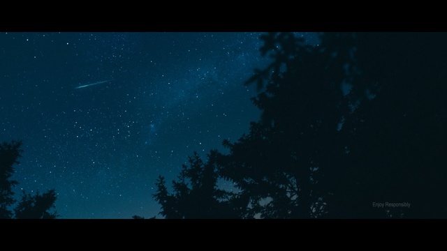 Video Reference: Sky, Nature, Black, Atmosphere, Night, Blue, Darkness, Astronomical object, Space, Tree