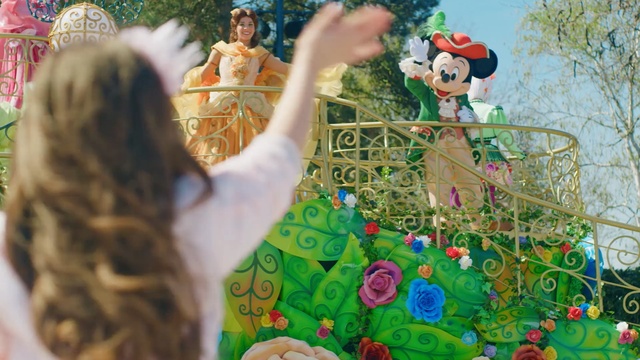 Video Reference: Illustration, Plant, Art