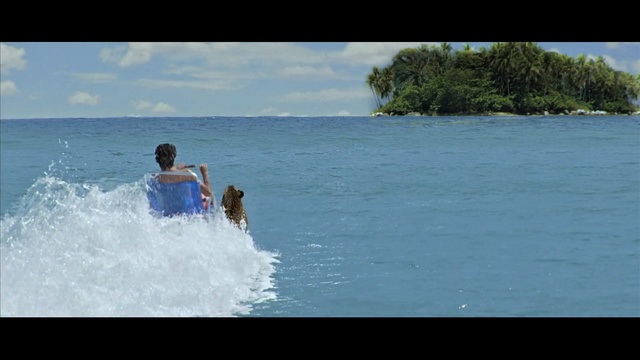 Video Reference: Fun, Wave, Vacation, Wind wave, Sea, Ocean, Leisure, Summer, Water, Beach