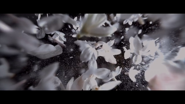 Video Reference: Monochrome photography, Photograph, White, Black-and-white, Black, Monochrome, Snapshot, Beauty, Photography, Water