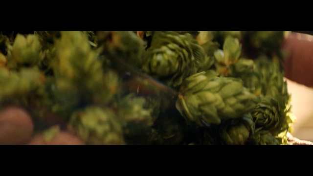 Video Reference: Artichoke, Plant, Local food, Flower, Vegetable