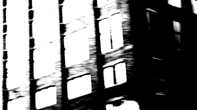 Video Reference: White, Black, Monochrome, Black-and-white, Tree, Monochrome photography, Architecture, Woody plant, Line, Photography