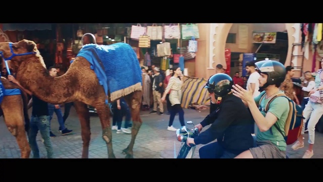Video Reference: Camel, Camelid, Arabian camel, Mode of transport, Turban, Photography, Fun, Selfie, Adaptation, Livestock, Person