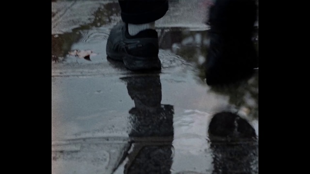 Video Reference: Water, Black, Footwear, Reflection, Automotive tire, Boot, Shoe, Ice, Photography, Tree