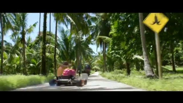 Video Reference: nature, tree, plant, ecosystem, arecales, palm tree, vegetation, mode of transport, grass, jungle