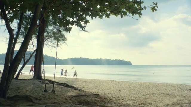 Video Reference: Body of water, Beach, Shore, Nature, Coast, Sea, Sky, Natural landscape, Tree, Coastal and oceanic landforms