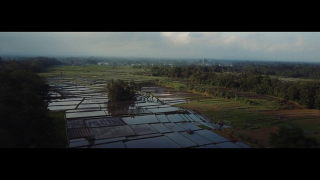 Video Reference: Sky, Nature, Atmospheric phenomenon, Horizon, Morning, Landscape, Cloud, Aerial photography, Tree, Atmosphere