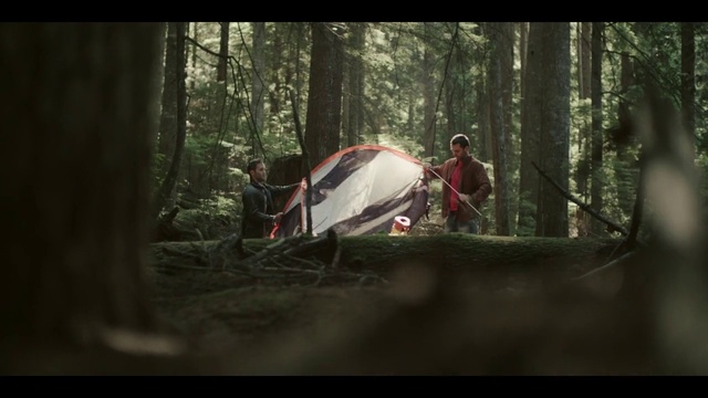 Video Reference: Nature, Forest, Natural environment, Woodland, Tree, Wilderness, Photography, Jungle, Adaptation, Stock photography