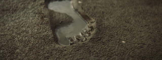 Video Reference: close up, soil, organism, tail, snout, darkness