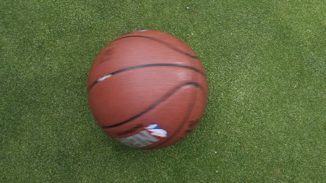 Video Reference: Rugby ball, Ball, Soccer ball, Football, Grass, Egg, Sport venue, Sports equipment, Easter egg