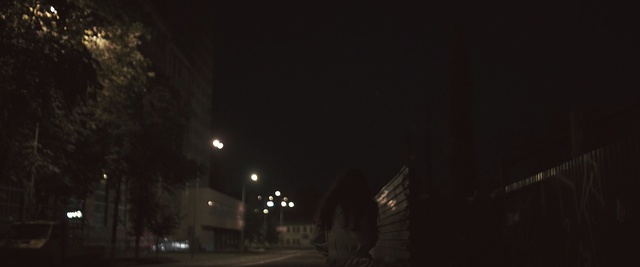 Video Reference: night, darkness, infrastructure, sky, light, atmosphere, tree, lighting, street light, light fixture