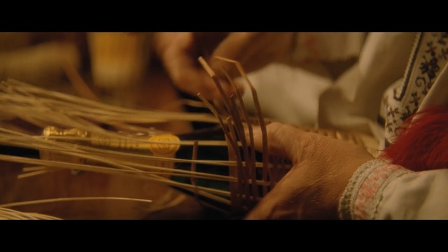 Video Reference: String instrument, Close-up, Hand, Musical instrument, Photography, Finger, Music, Plucked string instruments, Macro photography, String instrument