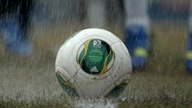 Video Reference: green, grass, football, water, reflection, ball, ball, lawn, tree