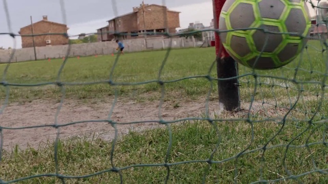 Video Reference: Wire fencing, Grass, Fence, Land lot, Net, Rural area, Grass family, Pasture, Chain-link fencing, Grassland