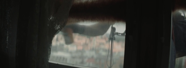 Video Reference: Photograph, Snapshot, Eye, Horse, Photography, Window, Rear-view mirror, Mane, Wildlife, Display device, Person