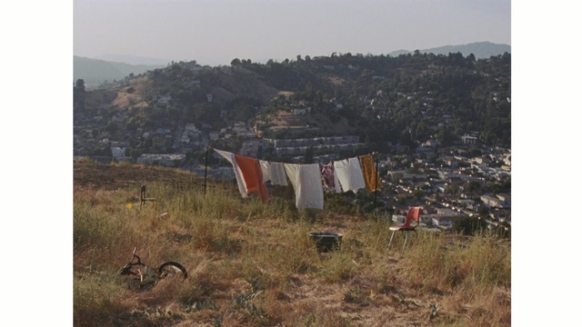 Video Reference: ecosystem, rural area, land lot, hill station, plant community, landscape, ecoregion, tree, sky, shrubland