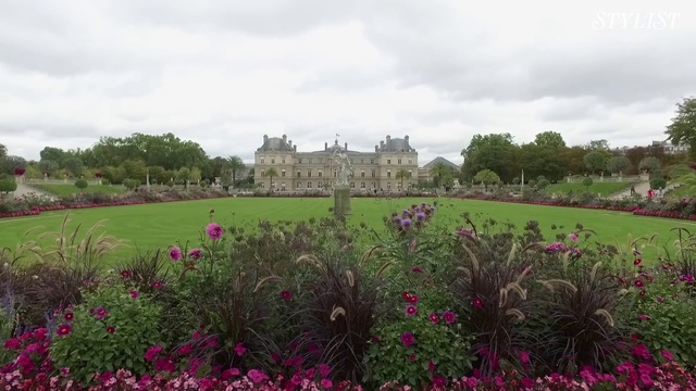 Video Reference: Nature, Vegetation, Flower, Meadow, Plant, Natural environment, Botanical garden, Garden, Grass family, Grassland