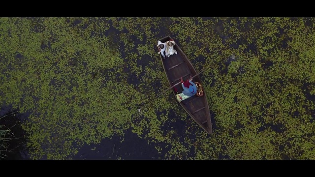 Video Reference: Screenshot, Vehicle, Photography, Animation, Longboard