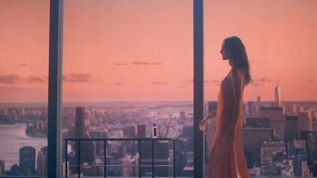 Video Reference: Sky, City, Urban area, Human settlement, Metropolitan area, Skyline, Architecture, Statue, Skyscraper, Metropolis